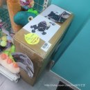 로하삼계