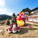 바실라 | 경주 불국사 카페 바실라 대형카페 붉은말 포토존