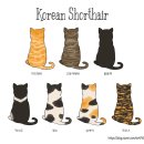 루원 센트럴 동물의료센터 이미지