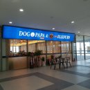 도그파파안 이미지