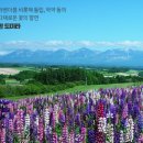 시원관광 이미지