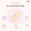 [뿅이❤️]30~31주 임산부 일기+ 후기 증상