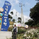 전북 정읍 옥정호 구절초축제 관람 이미지