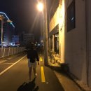 ●달성군 화원 낙동생오리● 오리고기
