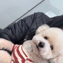 더베스학원