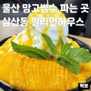 울산 망고빙수 맛집 밀리언하우스 삼산 대형카페 내돈내산 후기