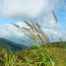 하늘정원 이미지