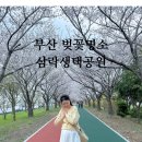 삼락주유소 | 부산 벚꽃명소 삼락생태공원 벚꽃터널 둑방길(24.03.30개화상태)