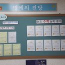 삼성영어화서화양학원