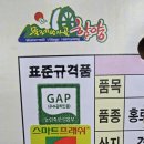 마감)특가)부사 판매합니다. 이미지