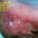 열린동물병원 이미지