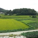 신한아파트 ~ 세광아파트 이미지