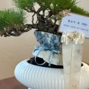 좋은날,여기 이미지