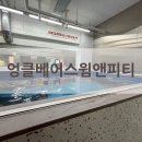 엉클베어스윔앤피티 | [청주수영레슨] 엉클베어스윔앤피티
