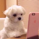 말랑말랑 이미지