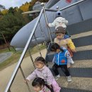 소풍(보라매공원🖼🚁✈️🌳🍂🍁 이미지