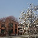 목련 노래방 이미지