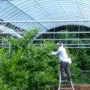 인해농원 이미지