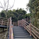 죽도문구