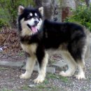 블랙엔화이트 이미지