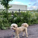 프릿토핏 이미지