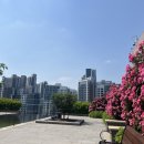 사평대로6길 74 (1) 이미지