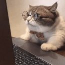 4189 | [웨딩드레스투어] 이승현,클라라,로렌스뉴욕 다녀오고 계약한 후기