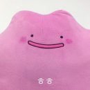 달성2차2로(대로3-56) | [초등임용] 2026 초등임용 재수생의 0.3X배수 합격 수기🍀 _ 1편; 2년 간의 이야기 (+자료나눔)