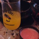 인쌩맥주 | 인쌩맥주 솔직후기 | 얼큰김치우동 &amp; 딸기막걸리 찐추천