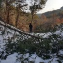 하산 농장 이미지