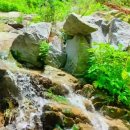 쉼터농장 이미지