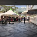 웰니스동물병원(롯데월드점) 이미지