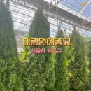 [국내] 대림원예종묘 대형 식물쇼핑센터 구경 후기