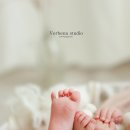 버베나스튜디오 이미지