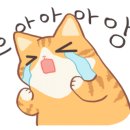 구두가방병원 이미지