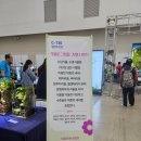 바디온원태즈파충류연구소