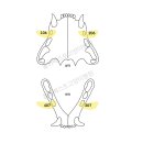 베스트고양이병원 이미지