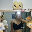 스포츠 라이트 | 나이키 인디 라이트 서포트 | 스포츠브라 후기