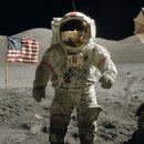 화신식품 | 15년차 헬창의 프로틴 바 4종 리뷰(퀘스트, 커클랜드, 하림 오늘단백, 빙그레 더 단백)