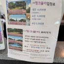 동산 | [JEJU] 제주도 가을 여행지 “새미동산” 추천 후기