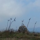 을숙도 생태공원 이미지