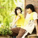 옥탑방 고양이 이미지