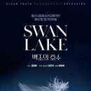 울산시립청소년교향악단 제47회 정기연주회 &#39;백조의 호수&#39; 이미지