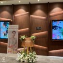 다르미앙 이미지