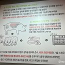 부라보쪽갈비포곡점 이미지