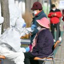 손불면사무소 이미지