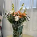 수유역꽃집 꽃 사슴에서 데려온 싱그러운 칠링백 선물과 힐링의 시간