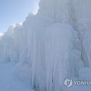 고드름축제장 이미지