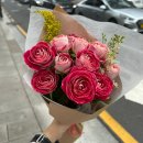 광화문와인샵제목없음광화문 세종문화회관 꽃집 인덕플라워 경희궁점 후기