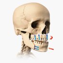 페이스성형외과의원 이미지